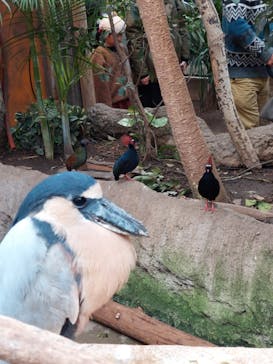 神戸どうぶつ王国に投稿された画像（2024/2/23）