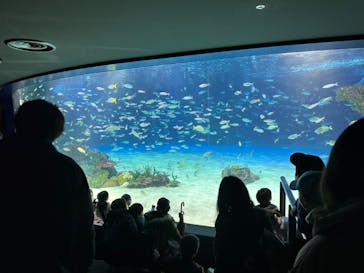 サンシャイン水族館に投稿された画像（2024/2/23）