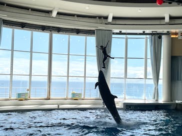 アクアワールド茨城県大洗水族館に投稿された画像（2024/2/23）