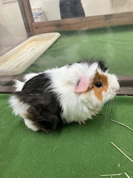 成田ゆめ牧場に投稿された画像（2024/2/23）