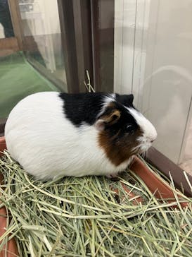 成田ゆめ牧場に投稿された画像（2024/2/23）