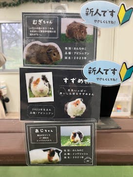 成田ゆめ牧場に投稿された画像（2024/2/23）