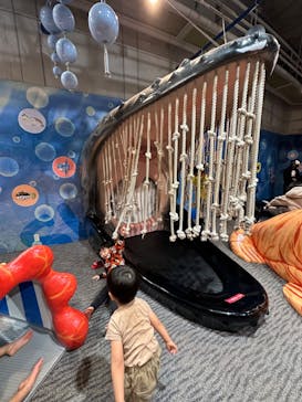 大分マリーンパレス水族館 「うみたまご」に投稿された画像（2024/2/23）