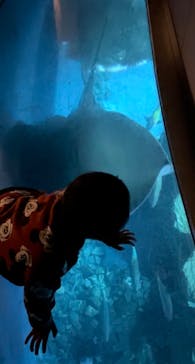 大分マリーンパレス水族館 「うみたまご」に投稿された画像（2024/2/23）