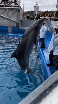 大分マリーンパレス水族館 「うみたまご」に投稿された画像（2024/2/23）
