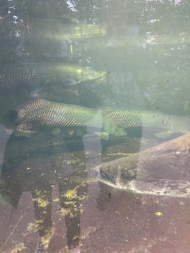 株式会社Gに投稿された画像（2024/2/23）