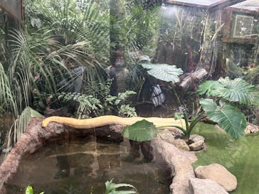 株式会社Gに投稿された画像（2024/2/23）