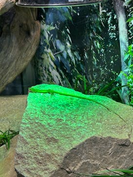 株式会社Gに投稿された画像（2024/2/23）