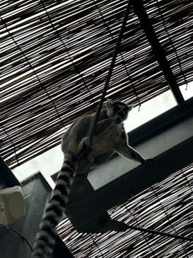 株式会社Gに投稿された画像（2024/2/23）