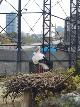 天王寺動物園に投稿された画像（2024/2/23）