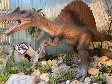 ナゴパイナップルパークに投稿された画像（2024/2/23）