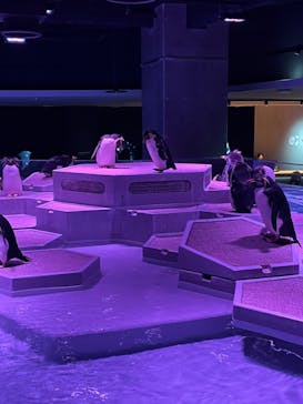 AOAO SAPPOROに投稿された画像（2024/2/24）