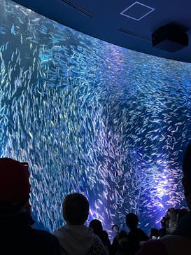 名古屋港水族館に投稿された画像（2024/2/24）