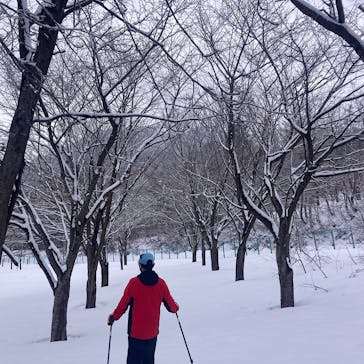 HOKUTEN activity（ホクテン アクティビティ）に投稿された画像（2024/2/23）