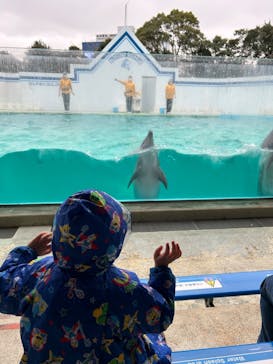 しながわ水族館に投稿された画像（2024/2/24）