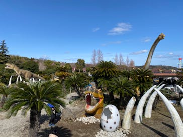 伊豆ぐらんぱる公園に投稿された画像（2024/2/24）