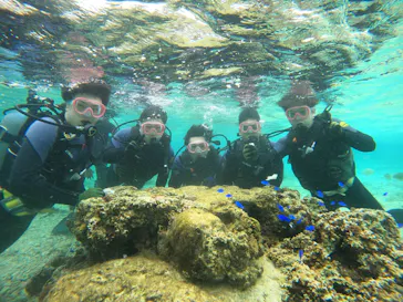 武藤潜水に投稿された画像（2024/2/24）