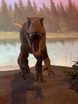 福井県立恐竜博物館に投稿された画像（2024/2/24）