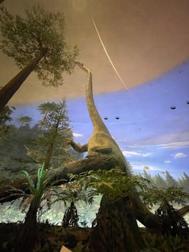 福井県立恐竜博物館に投稿された画像（2024/2/24）