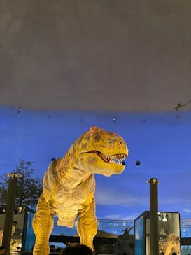 福井県立恐竜博物館に投稿された画像（2024/2/24）