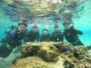 武藤潜水に投稿された画像（2024/2/24）