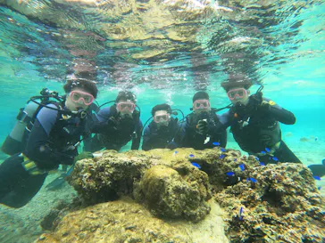 武藤潜水に投稿された画像（2024/2/24）