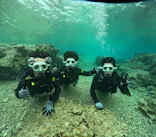 沖縄マリンサービス碧に投稿された画像（2024/2/24）