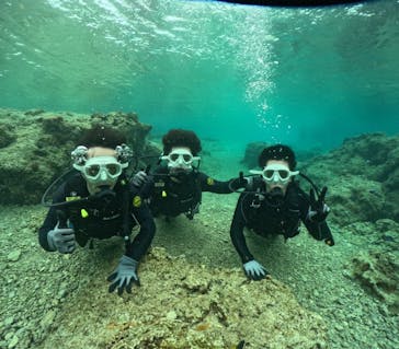 沖縄マリンサービス碧に投稿された画像（2024/2/24）