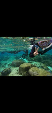 武藤潜水に投稿された画像（2024/2/24）