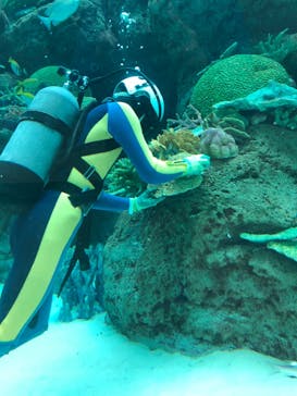 名古屋港水族館に投稿された画像（2024/2/24）