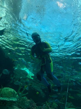 名古屋港水族館に投稿された画像（2024/2/24）