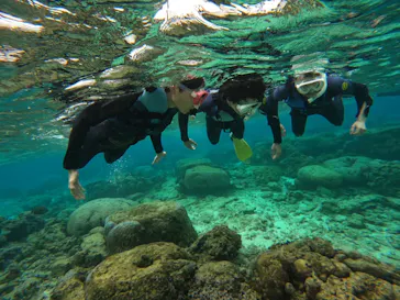 武藤潜水に投稿された画像（2024/2/24）