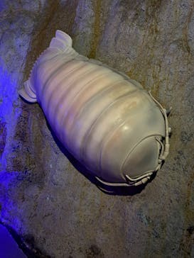 伊豆・三津シーパラダイスに投稿された画像（2024/2/24）