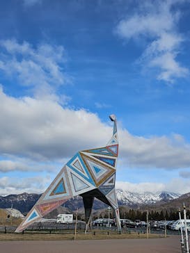 福井県立恐竜博物館に投稿された画像（2024/2/24）