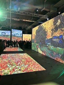 ゴッホ・アライブに投稿された画像（2024/2/24）