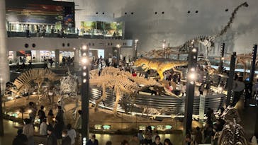 福井県立恐竜博物館に投稿された画像（2024/2/24）