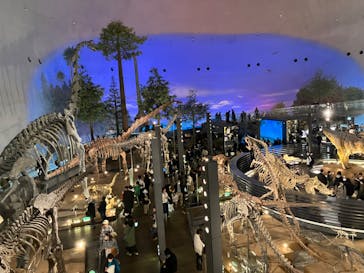 福井県立恐竜博物館に投稿された画像（2024/2/24）