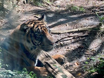 よこはま動物園ズーラシアに投稿された画像（2024/2/24）