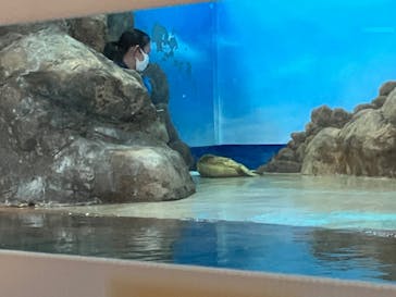 しながわ水族館に投稿された画像（2024/2/24）