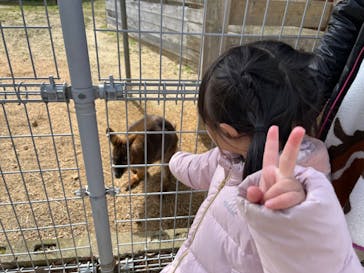 淡路ファームパーク イングランドの丘に投稿された画像（2024/2/24）