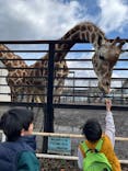 宇都宮動物園に投稿された画像（2024/2/24）