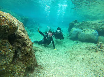 武藤潜水に投稿された画像（2024/2/24）