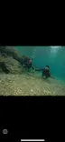 武藤潜水に投稿された画像（2024/2/24）