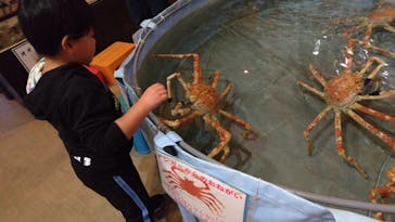 すさみ町立エビとカニの水族館に投稿された画像（2024/2/24）
