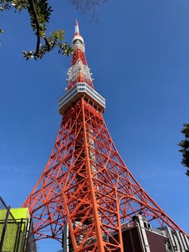 東京タワーに投稿された画像（2024/2/24）
