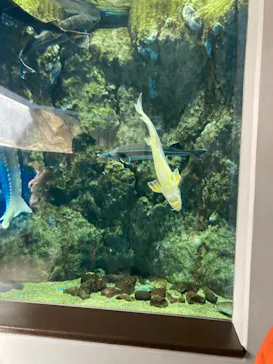 仙台うみの杜水族館に投稿された画像（2024/2/24）