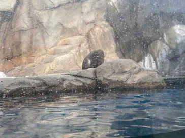 仙台うみの杜水族館に投稿された画像（2024/2/24）