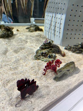 AOAO SAPPOROに投稿された画像（2024/2/24）