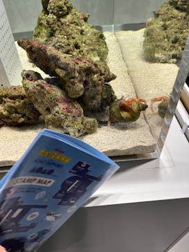 AOAO SAPPOROに投稿された画像（2024/2/24）