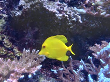 マクセル アクアパーク品川に投稿された画像（2024/2/24）